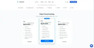 Promo Hosting Najahweb: Raih Diskon 50% dengan Kode BROMO!